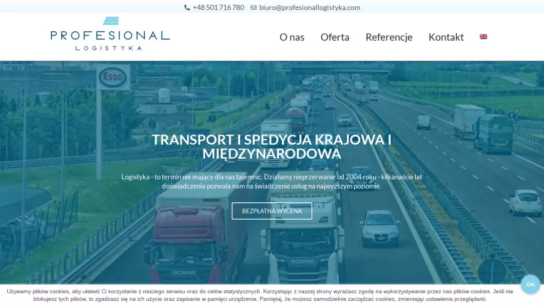 Zrzut ekranu strony Profesional Logistyka